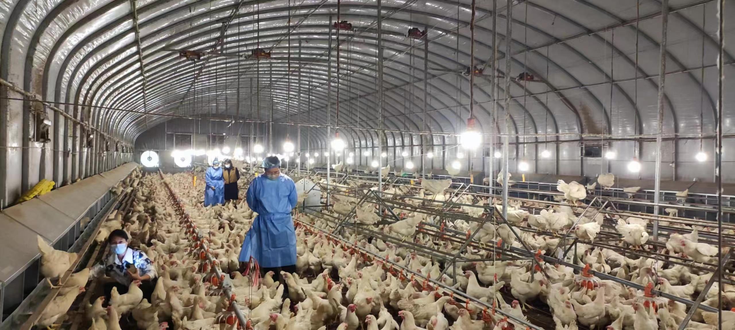 babbe74c319f43c7abe02be9ea31bb0f_origin(2)