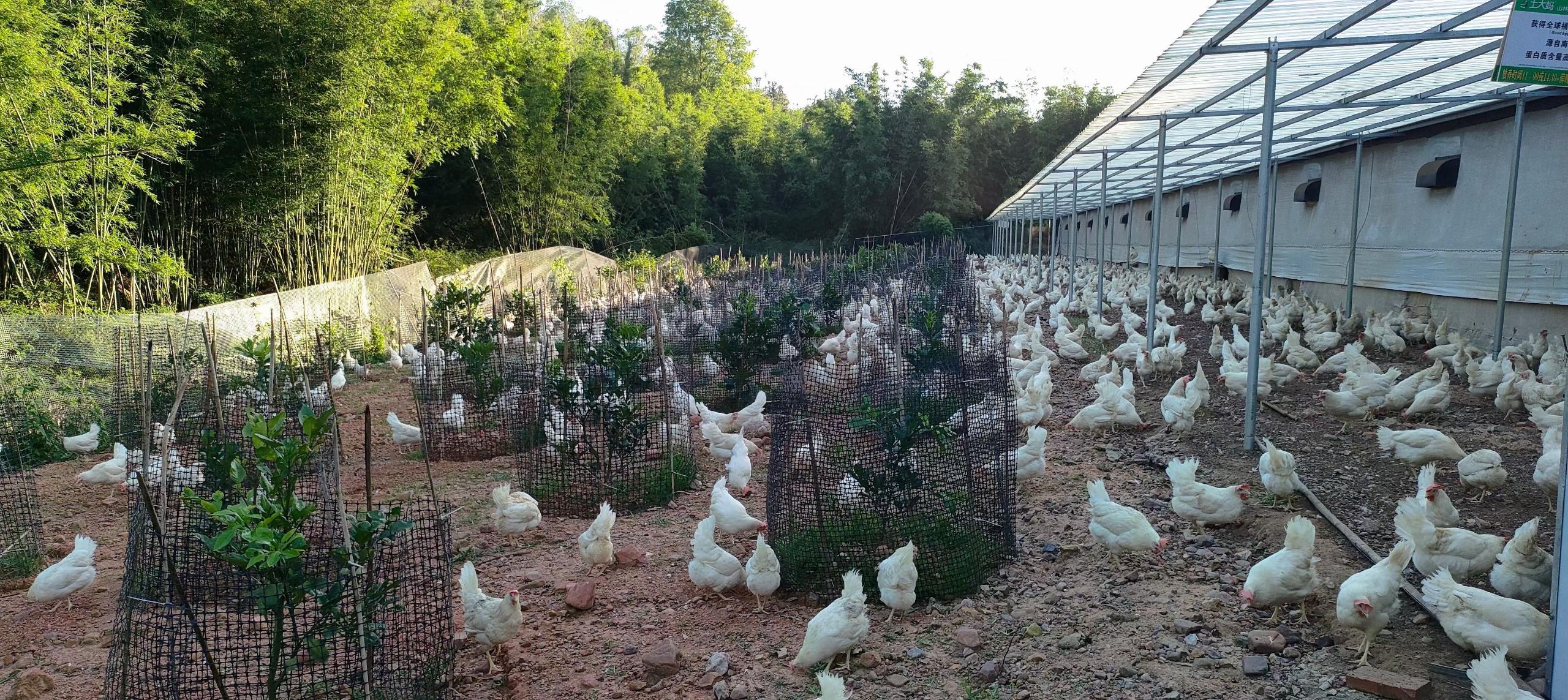 e01b87beefaa98415973e1330c93516c_origin(1)